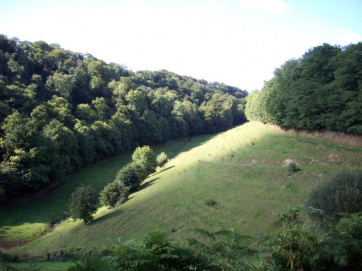 Cosy Chalet With Private Garden In Normandy Isigny-le-Buat Bilik gambar
